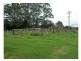 Elands NSW 2429