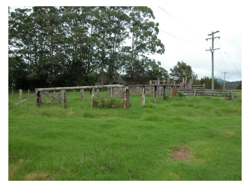 Elands NSW 2429