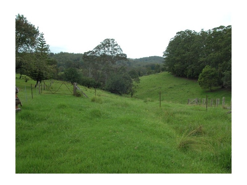 Elands NSW 2429