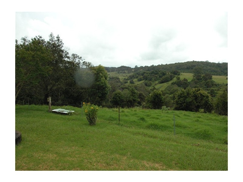 Elands NSW 2429