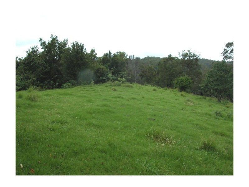 Elands NSW 2429