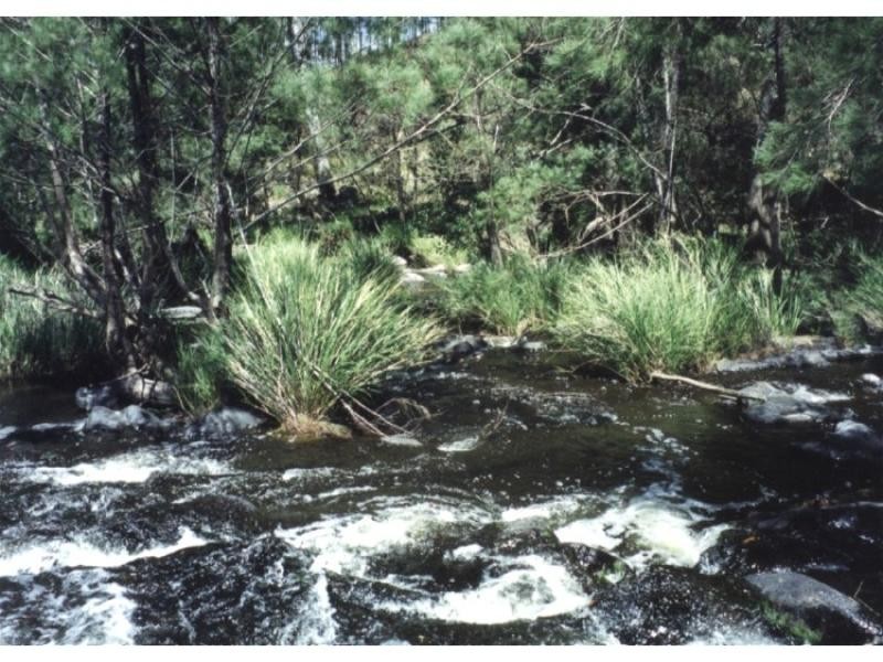 Cooplacurripa NSW 2424
