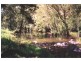 Cooplacurripa NSW 2424