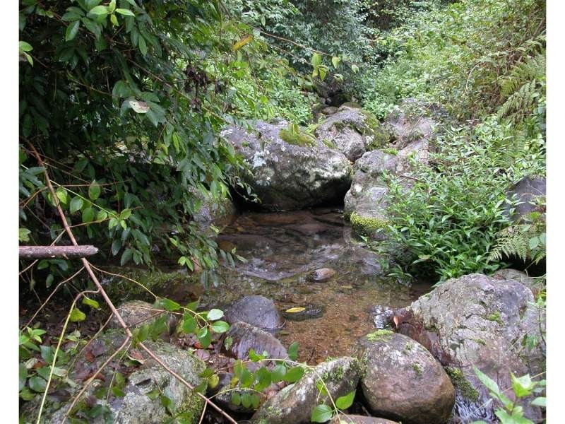 Mooral Creek NSW 2429