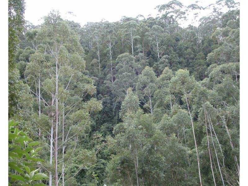 Mooral Creek NSW 2429