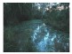 Marlee NSW 2429