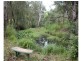 Marlee NSW 2429