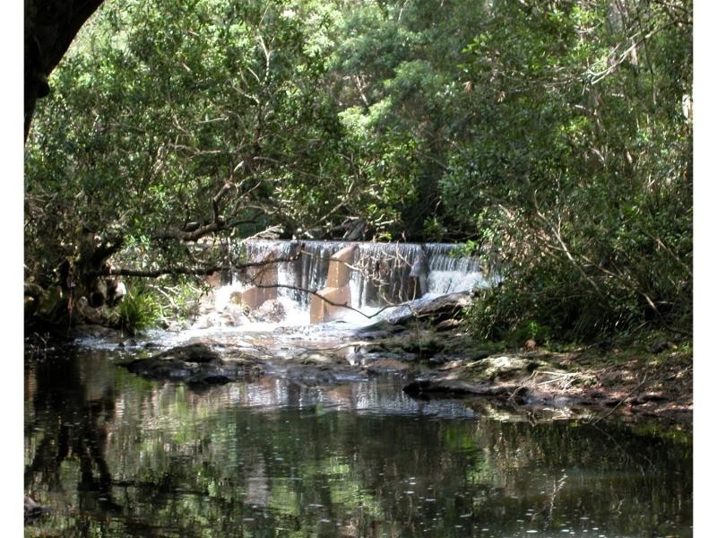 Elands NSW 2429