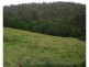 Elands NSW 2429