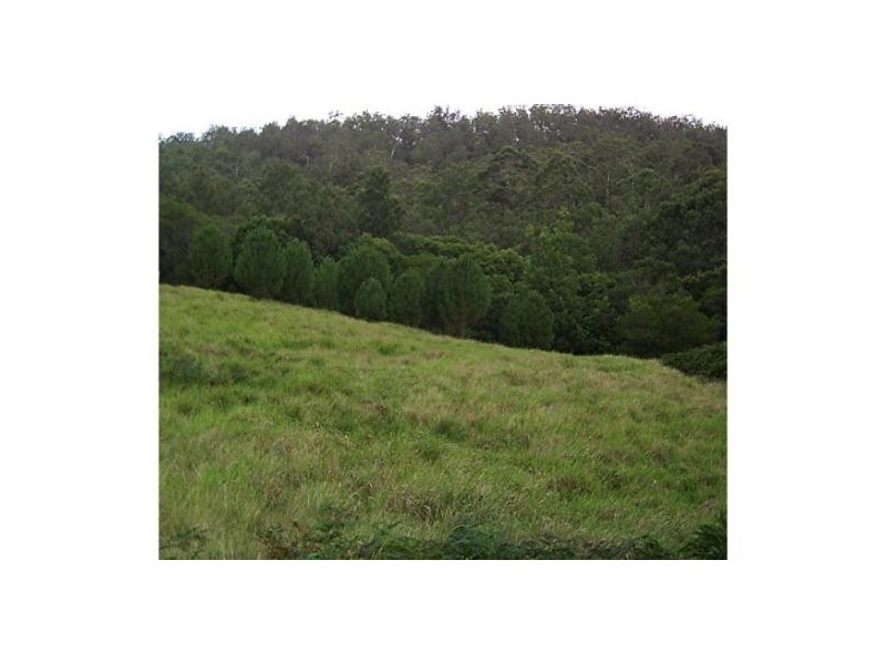 Elands NSW 2429