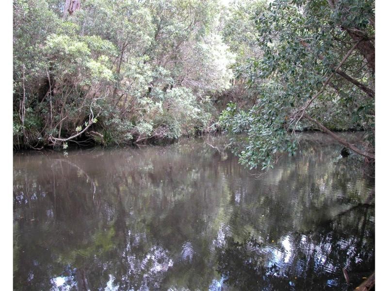 Elands NSW 2429