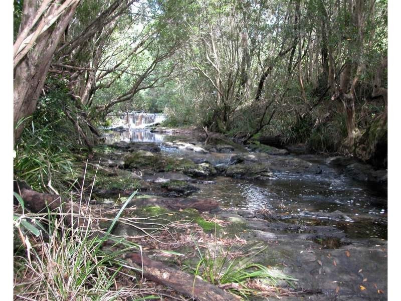 Elands NSW 2429