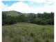 Elands NSW 2429