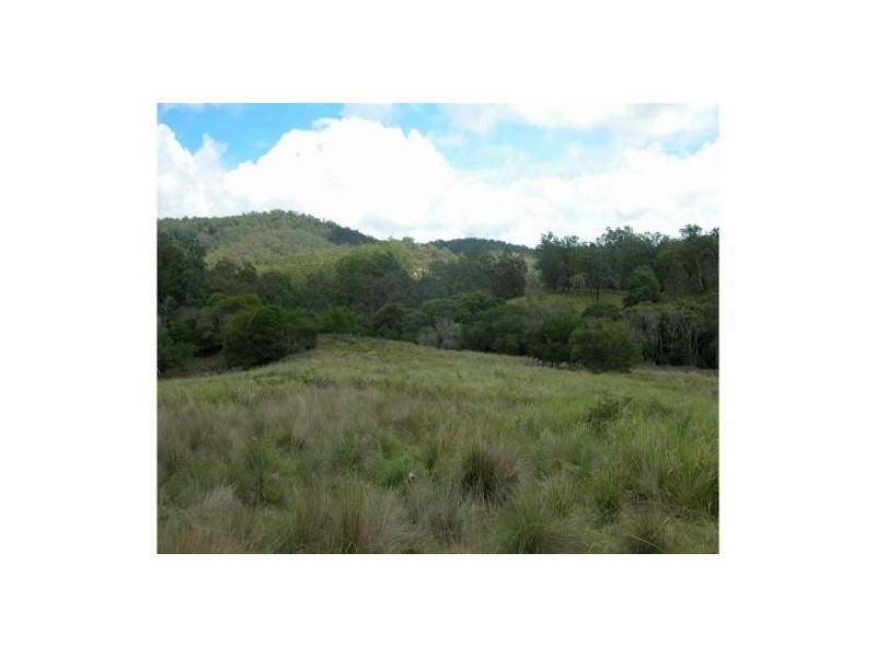 Elands NSW 2429