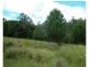 Elands NSW 2429