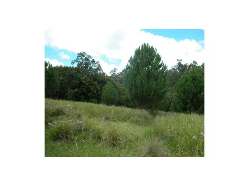 Elands NSW 2429