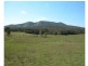 Mount George NSW 2424
