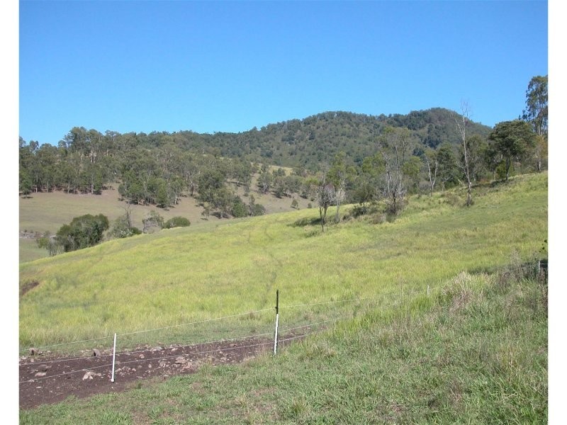 Mount George NSW 2424