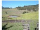 Mount George NSW 2424