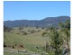 Mount George NSW 2424