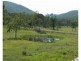 Mount George NSW 2424