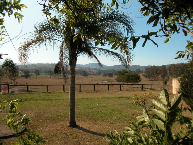 Wherrol Flat NSW 2429