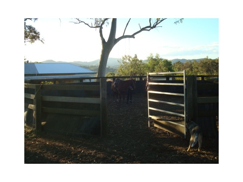 Wherrol Flat NSW 2429