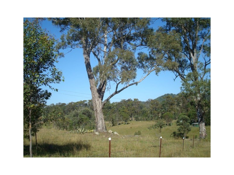 Wherrol Flat NSW 2429