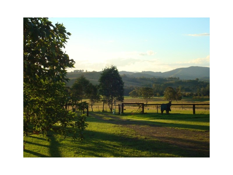 Wherrol Flat NSW 2429