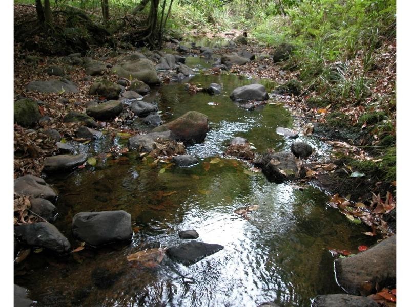 Killabakh NSW 2429