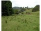 Killabakh NSW 2429