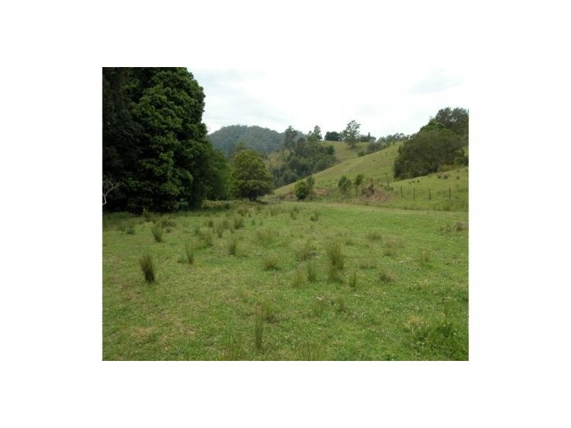 Killabakh NSW 2429