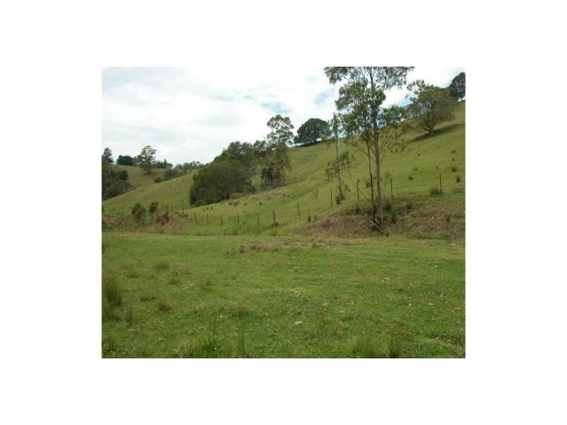 Killabakh NSW 2429
