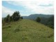 Killabakh NSW 2429