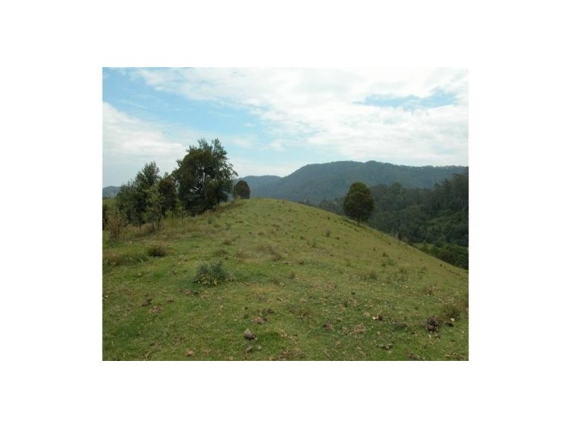 Killabakh NSW 2429