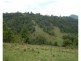 Killabakh NSW 2429