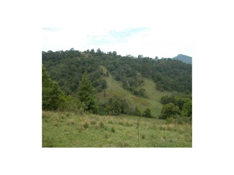 Killabakh NSW 2429