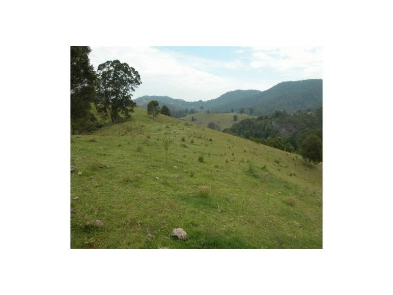 Killabakh NSW 2429