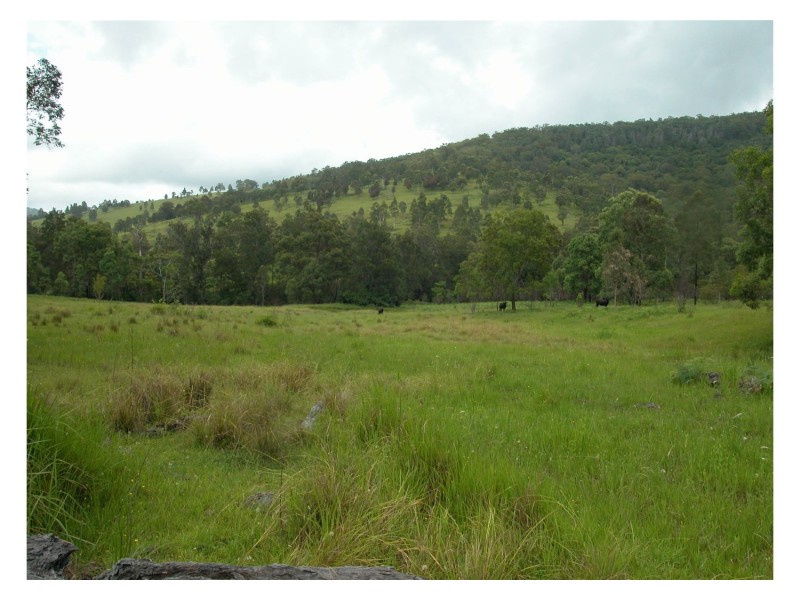 Mount George NSW 2424