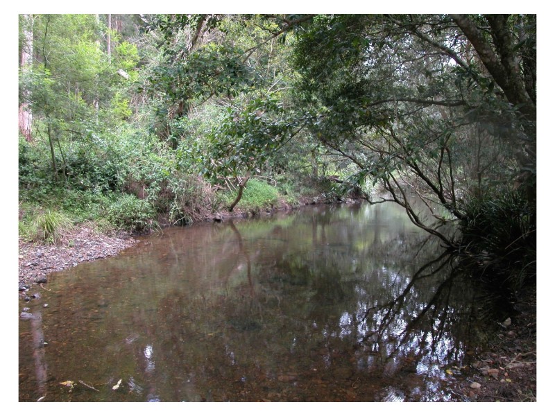 Mount George NSW 2424