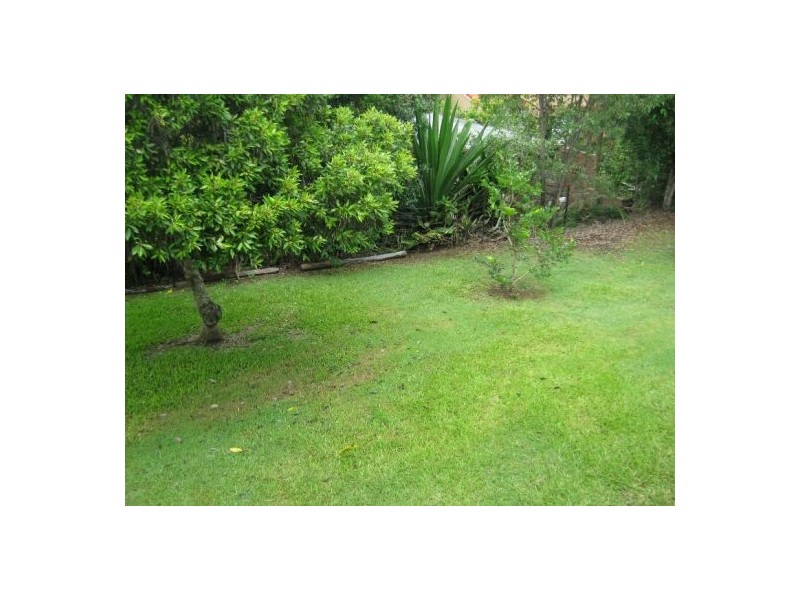 41 Jacaranda Avenue, Maryborough QLD 4650