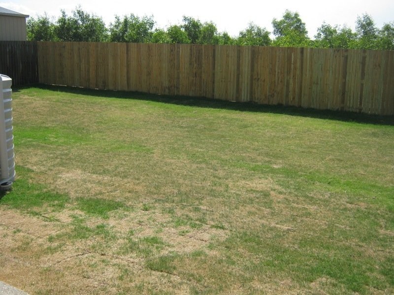 12 Kauri Place, Tinana QLD 4650