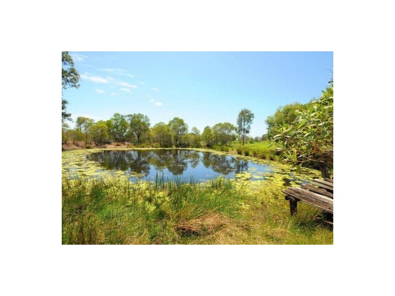 893 Torbanlea Pialba, Takura QLD 4655