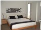 51 Tulipwood Drive, Tinana QLD 4650