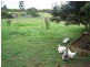 187 Bosel Rd, Tinana QLD 4650