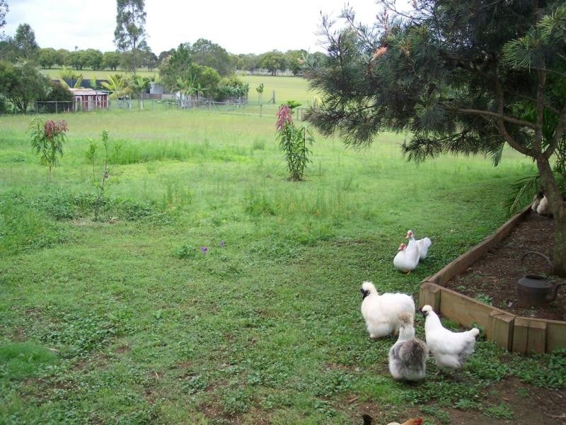 187 Bosel Rd, Tinana QLD 4650