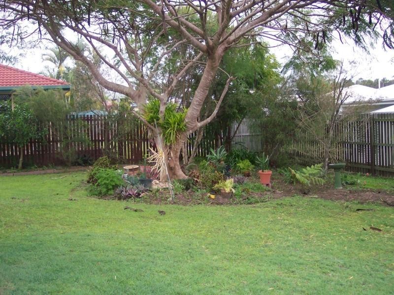 6 Poincianna Court, Tinana QLD 4650