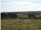 24 Sandy View, Nikenbah QLD 4655