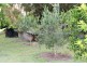 32 Roberts Rd, Torbanlea QLD 4662