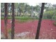 32 Roberts Rd, Torbanlea QLD 4662